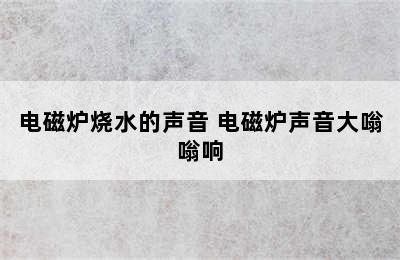 电磁炉烧水的声音 电磁炉声音大嗡嗡响